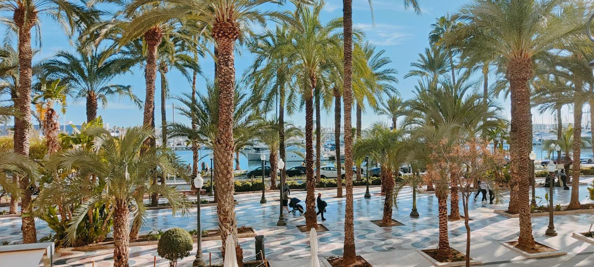 Alicantissima Marina & Beach Alicante Exterior photo